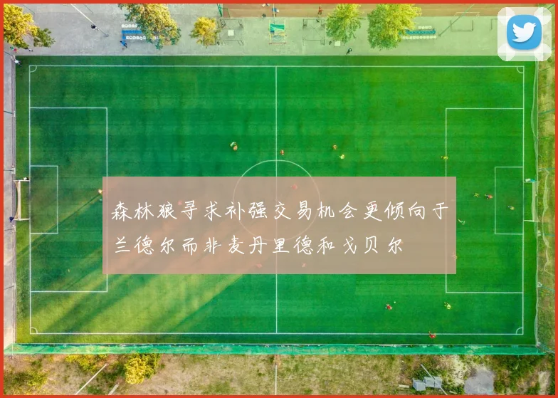 森林狼寻求补强交易机会更倾向于兰德尔而非麦丹里德和戈贝尔